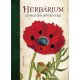 Herbárium - Gyógyító növények  -  Londoni Készleten